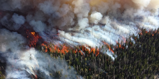 Рослесхоз усилил контроль за подготовкой к пожароопасному сезону - 2021-01-30 16:00:00 - 1