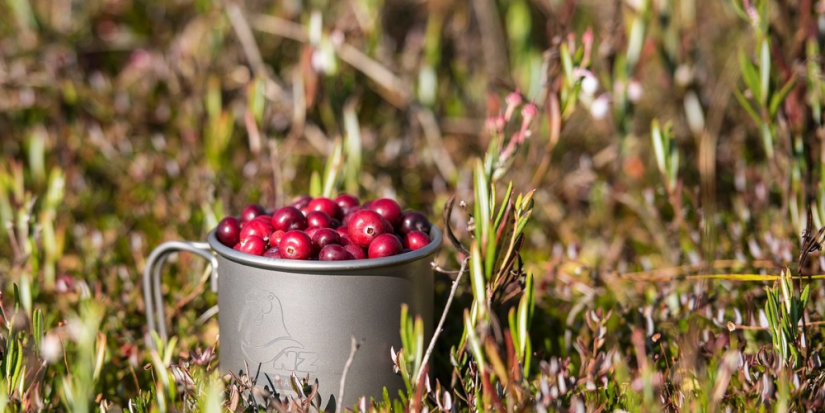 Полистовский заповедник открывает туристический сезон - 2024-04-24 12:05:00 - 1