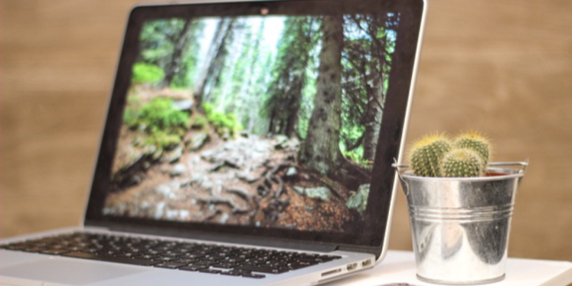 В России стало слишком много непроданных ноутбуков - 2023-02-13 18:05:00 - 1