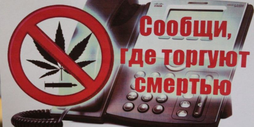 В области продолжается антинаркотическая акция - 2024-03-28 12:35:00 - 1