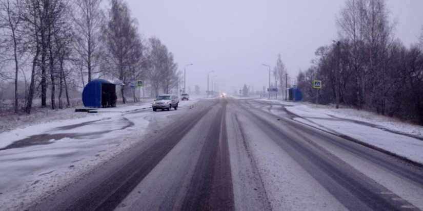 В Великолукском районе водитель «Нивы» насмерть сбил пешехода - 2021-11-30 12:51:23 - 1