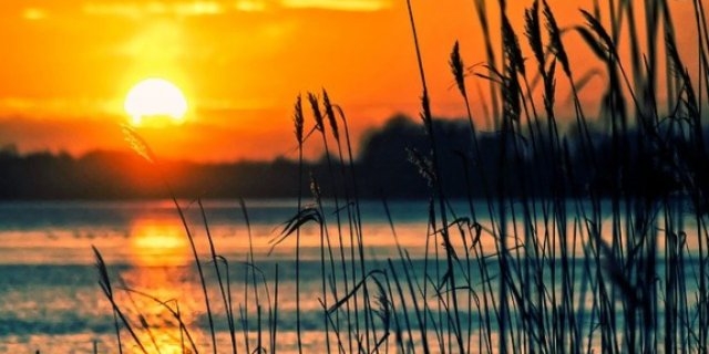 Роспотребнадзор проверяет качество воды в водоемах Псковской области - 2021-06-09 18:30:00 - 1