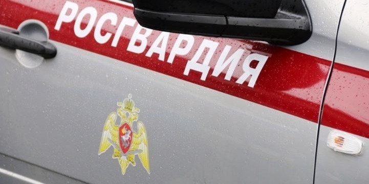 В Великих Луках росгвардейцами задержан подозреваемый в краже - 2022-11-28 12:05:00 - 1