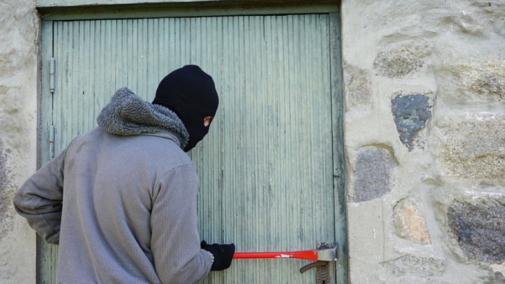 В Локнянском и Плюсском районах раскрыты дачные кражи - 2021-06-03 15:13:00 - 1