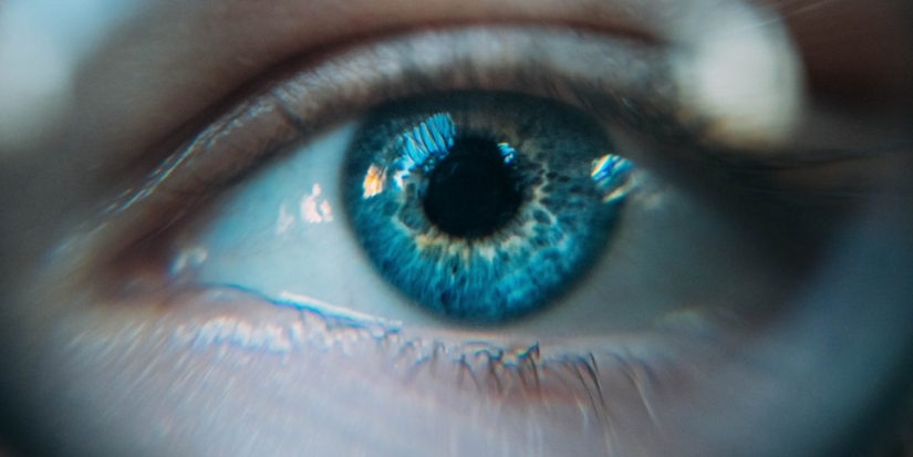 Ученые обнаружили степень влияния зрения на восприятие речи - 2021-09-11 13:00:00 - 1