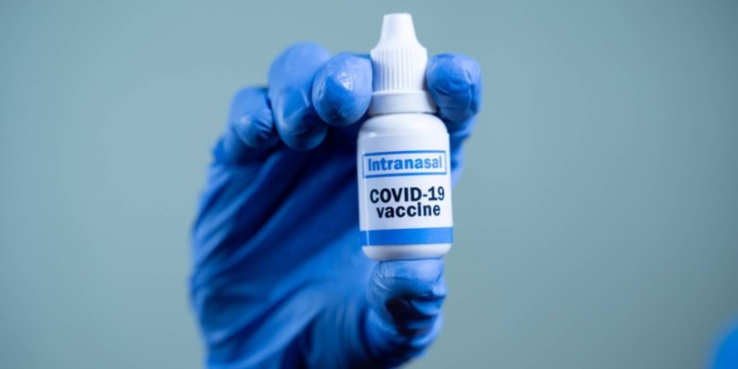 В России проведут клинические испытания назальной версии вакцины «Спутник V» - 2021-10-28 18:30:00 - 1