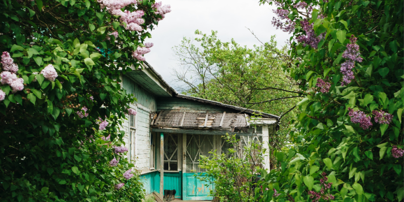 Как предотвратить дачные кражи? - 2023-05-28 17:05:00 - 1