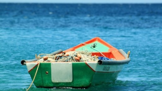 С 1 июня в Псковской области начнется месячник безопасности на водных объектах - 2021-05-27 10:56:00 - 1