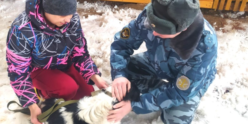 Сотрудники УФСИН навестили четвероногих жителей зооприюта «Невельские хвостики» - 2023-04-04 15:05:00 - 1