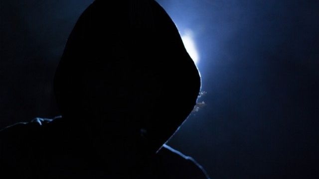 Установлены похитители, орудующие в нескольких районах Псковской области - 2021-05-07 15:00:00 - 1