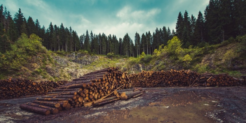 В России хотят создать аналог зарубежной биржи природных ресурсов - 2022-07-17 15:00:00 - 1