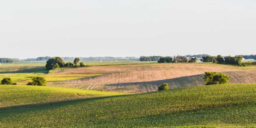 Узбекистан хочет арендовать у России поля для выращивания и вывоза растений - 2021-10-07 18:30:00 - 1