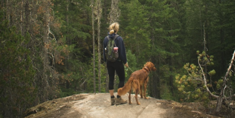 Кинологи рассказали, как ходить в поход с собакой - 2024-05-05 10:05:00 - 1