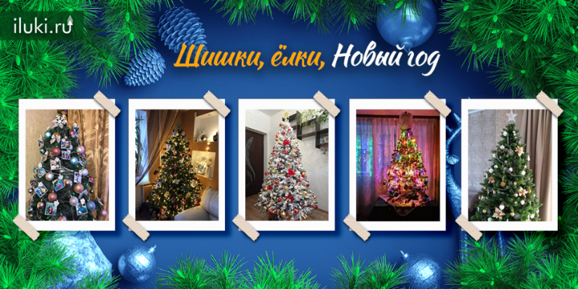 iluki.ru подвели итоги фотоконкурса «Шишки, ёлки, Новый год» - 2021-12-24 17:38:23 - 1