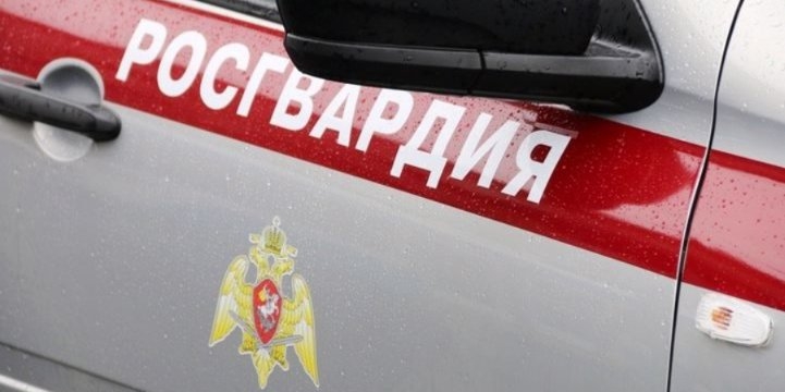 За неделю росгвардейцы Псковской области изъяли 12 единиц оружия - 2022-08-16 19:05:00 - 1
