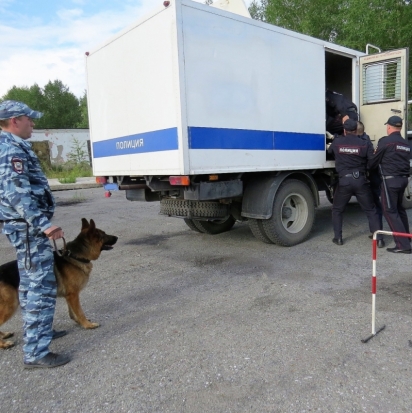 Великолукская полиция приглашает молодых людей на службу в роту охраны и конвоирования - 2018-07-14 16:06:00 - 1
