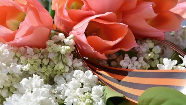 В Великих Луках наградили победителей конкурса «Письмо солдату» - 2021-06-04 20:00:00 - 1