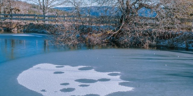 В Псковской области с 29 марта запрещен выход населения на лед Псковского, Теплого и Чудского озер - 2021-03-29 10:36:00 - 1