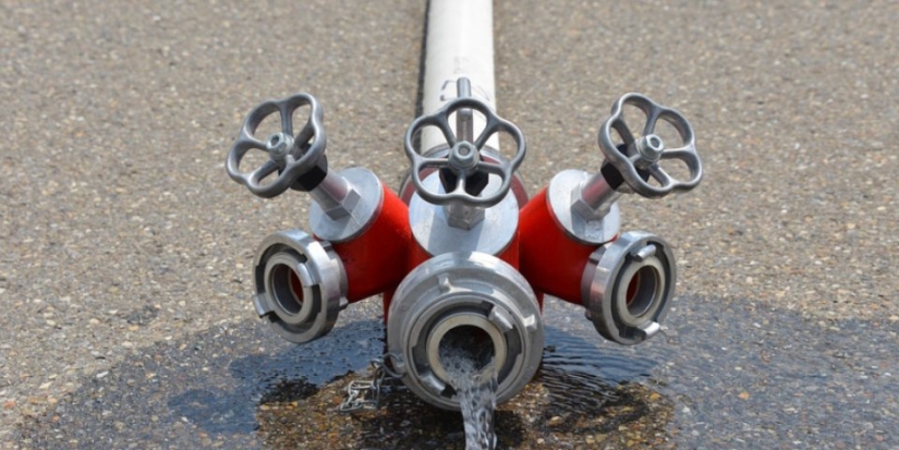 Команды Псковской области участвуют в соревнованиях «Школа безопасности» - 2021-06-11 12:36:00 - 1