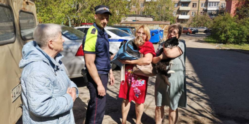 Сотрудники ГИБДД эвакуировали жильцов и их питомцев из многоэтажки в Пскове - 2024-05-13 17:35:00 - 1