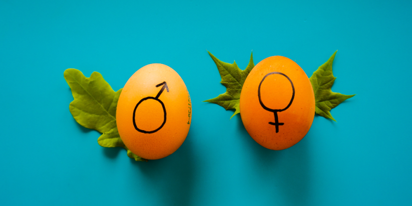 Россиянам хотят полностью запретить смену пола по желанию - 2023-05-26 18:35:00 - 1