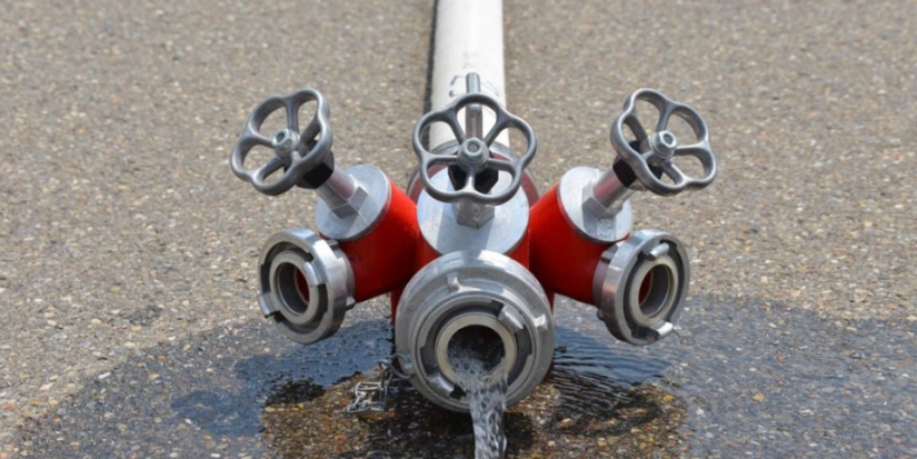 Добровольцы помогли потушить пожар в Гдовском районе - 2021-09-07 11:13:00 - 1