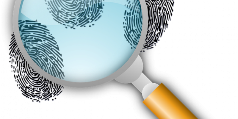 В Пскове полицейские по «горячим следам» раскрыли грабеж - 2021-01-26 13:12:00 - 1