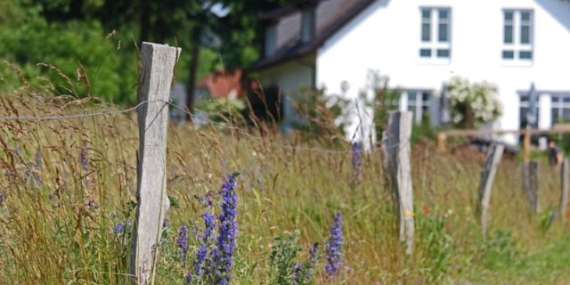 В России могут начать бесплатно раздавать землю - 2021-09-03 19:30:00 - 1