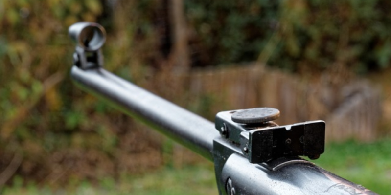 Пенсионер из Великолукского района хранил у себя дома склад оружия времен ВОВ - 2021-02-09 12:13:00 - 1