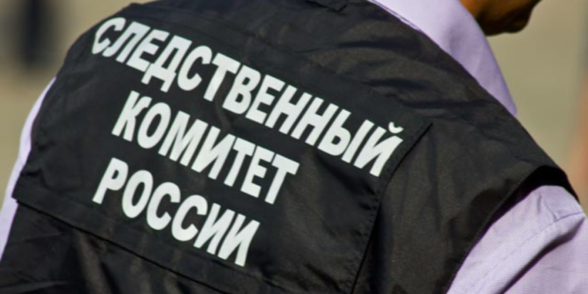 В Пскове раскрыта кража 11 млн рублей и 20 автомобилей - 2023-05-12 13:35:00 - 1