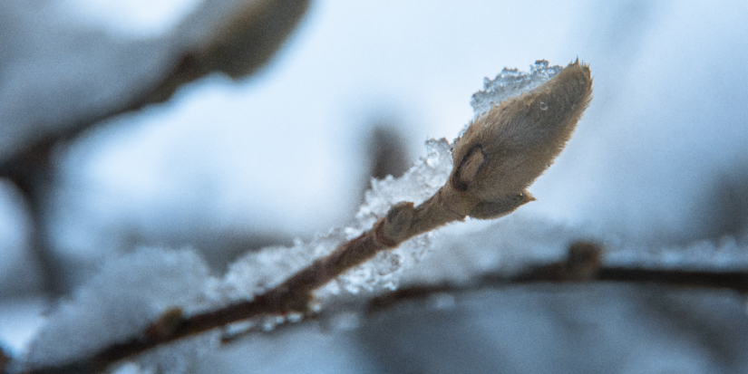 Жителям России пообещали потепление - 2023-03-13 20:05:00 - 1