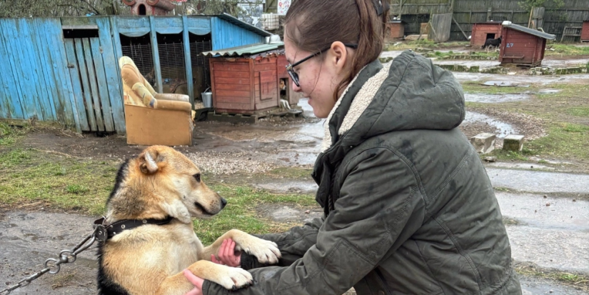 Псковские студенты навестили подопечных приюта «Лесопилка» - 2024-04-25 13:05:00 - 1