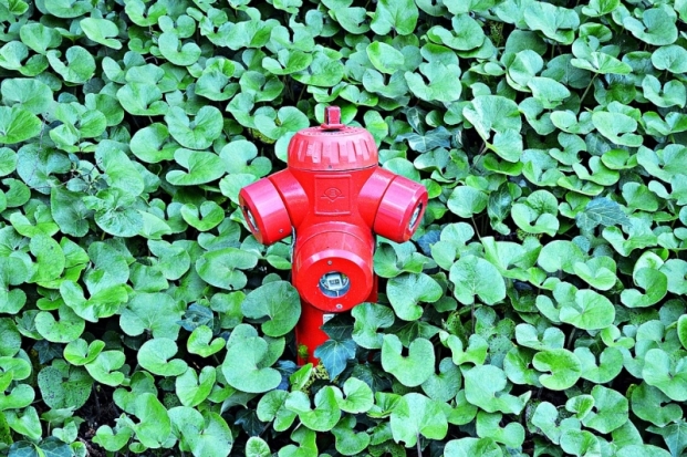 Почему сегодня актуально бурение артезианских скважин? - 2018-10-26 11:05:00 - 1