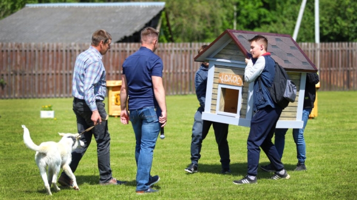 Благотворительный фестиваль в помощь бездомным животным прошёл в Порхове - 2021-06-06 19:00:00 - 1