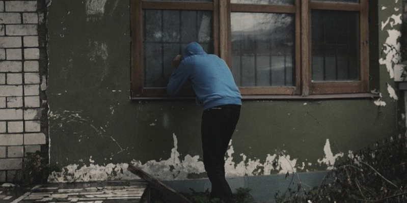 В Дновском районе и Невеле раскрыты кражи - 2021-03-03 14:12:00 - 1