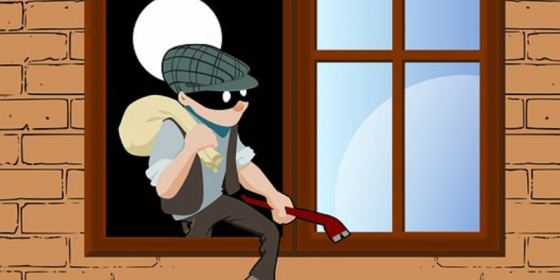 Три кражи раскрыты в Великих Луках - 2021-01-26 12:43:00 - 1