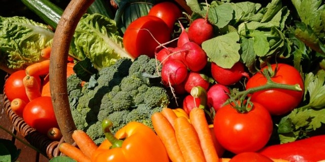 Народные гуляния и концерт пройдут на великолукской сельскохозяйственной ярмарке - 2022-09-16 12:05:00 - 1