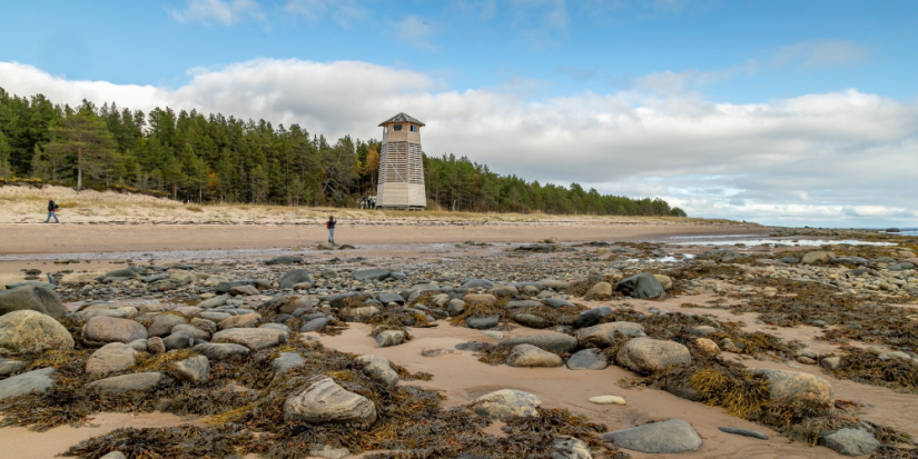 Нацпарку «Онежское Поморье» исполняется 10 лет - 2023-02-26 19:00:00 - 1