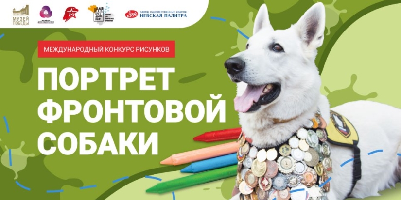 Великолучанам предлагают нарисовать портрет фронтовой собаки - 2022-06-23 13:05:00 - 1