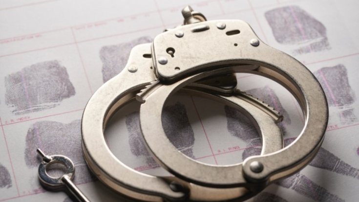 Псковичка осуждена за торговлю наркотиками - 2021-05-20 11:36:00 - 1