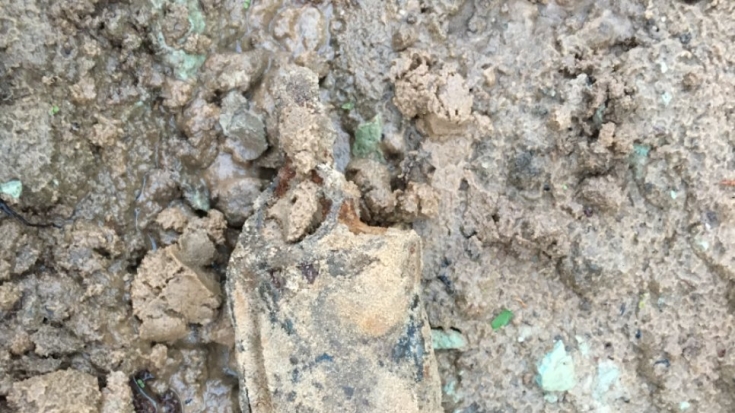 Росгвардейцы обезвредили гранату в деревне Псковского района - 2021-05-31 12:36:00 - 1