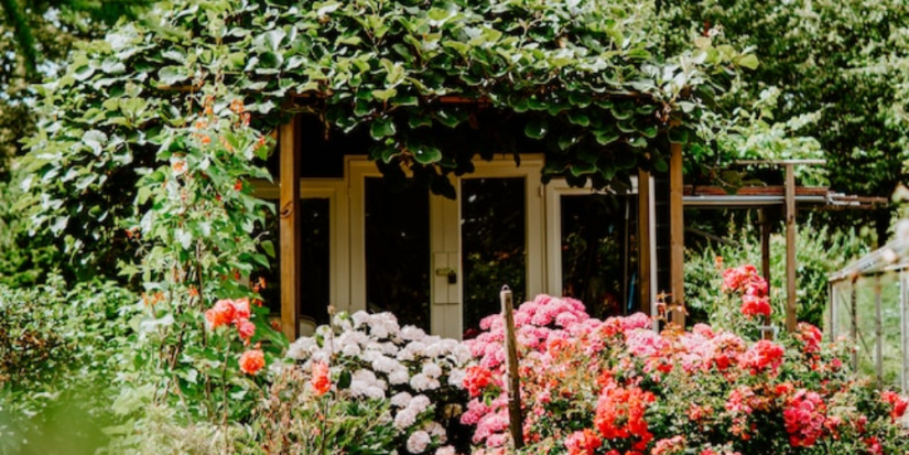 Порядок присоединения садоводств к населённому пункту разработают в регионе - 2024-04-30 13:05:00 - 1