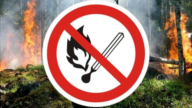 Посещая леса, соблюдайте правила пожарной безопасности - 2021-06-17 17:36:00 - 1