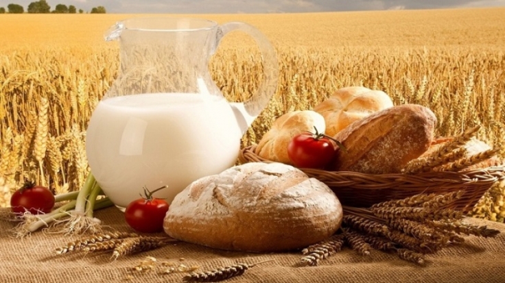 Россия отмечает День работника сельского хозяйства и перерабатывающей промышленности - 2018-10-14 12:01:00 - 1