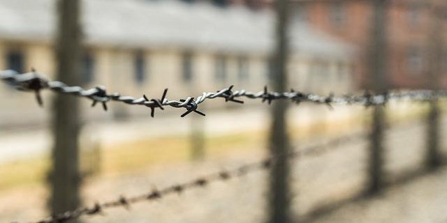 Двое мужчин осуждены за кражу 4 коров и 600 кг сухого молока в Псковском районе - 2022-05-30 15:35:00 - 1