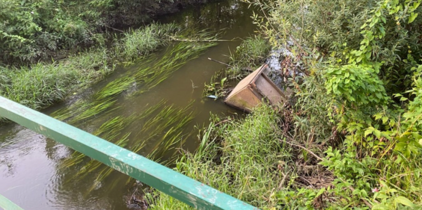 Жительница Великих Лук пожаловалась на разрушающийся мост через Лазавицу - 2021-08-11 13:18:00 - 1
