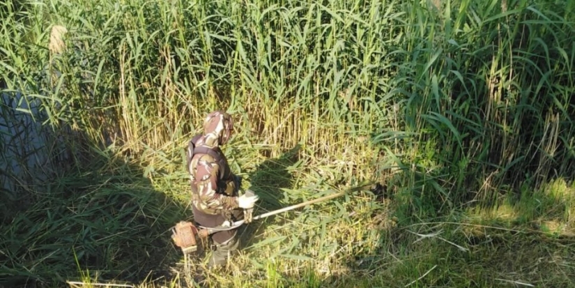 В Великих Луках продолжается благоустройство реки Ситовки - 2022-06-28 14:35:00 - 1