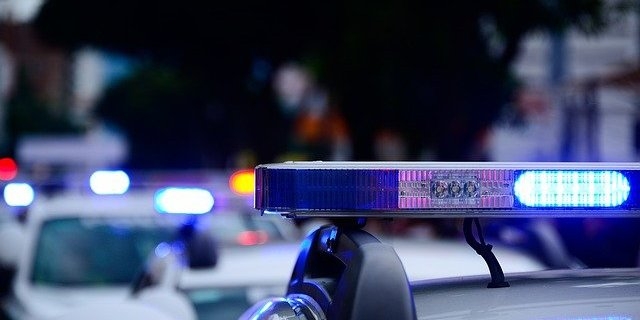 Полицейские Псковской области задержали подозреваемых в мошенничестве - 2022-06-20 16:05:00 - 1
