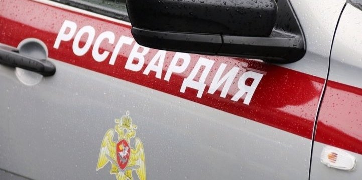 За неделю росгвардейцы Псковской области изъяли 11 единиц оружия - 2022-06-20 17:35:00 - 1