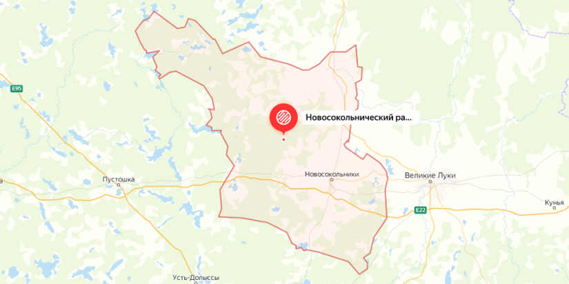 Звание «Край партизанской славы» будет присвоено Новосокольническому району - 2021-06-29 16:00:00 - 1